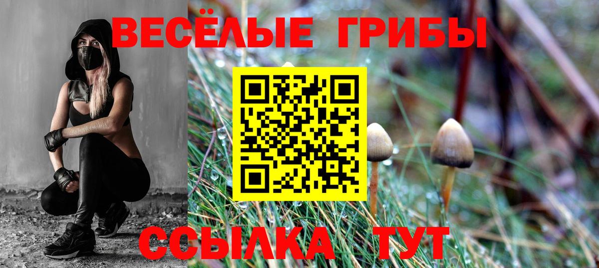 Янаул  Галлюциногенные грибы GOLDEN TEACHER  где продают наркотики  Псилоцибиновые грибы мицелий  Вход с VPN 